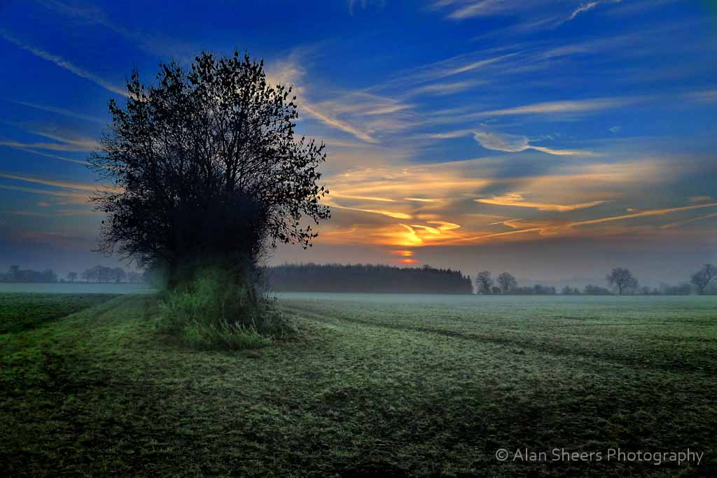WINTER SUNRISE by Alan Sheers
